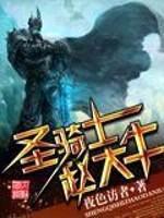 圣骑士赵大牛封面