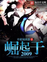 崛起于2009封面