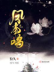 凤南鸣封面