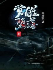 觉醒堕落封面