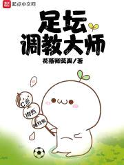 足坛调教大师封面