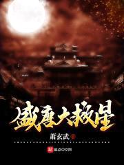 盛唐大救星封面