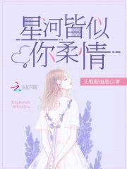 星河皆似你柔情封面