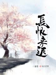 长恨来迟封面