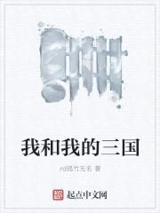 我和我的三国封面