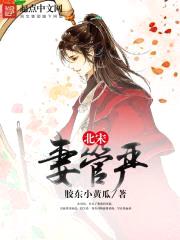 北宋妻管严封面