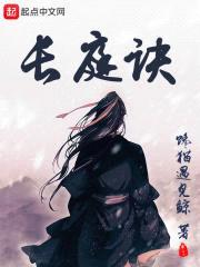 长庭诀封面