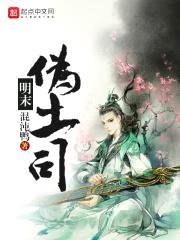 明末伪土司封面