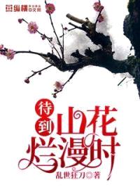 山花烂漫时封面