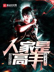 人家是高手封面
