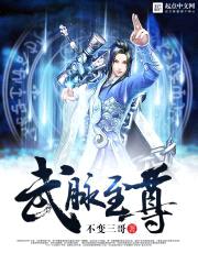 武脉至尊封面