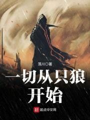 一切从只狼开始封面