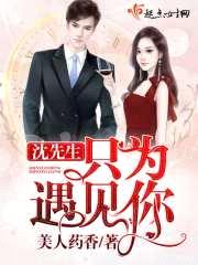 沈先生，只为遇见你封面