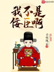 我不是佞臣啊封面