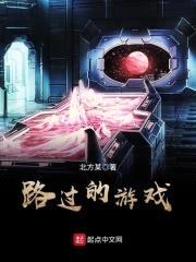 路过的游戏封面