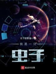 我是一只虫子封面