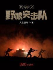 抗战之野狼突击队封面