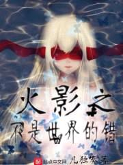 木叶之不是世界的错封面