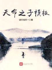 天命之子模板封面