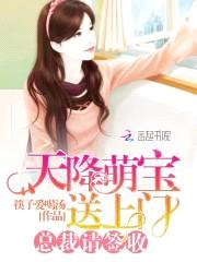 天降萌宝送上门：总裁，请签收封面