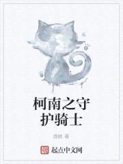 柯南之守护骑士封面