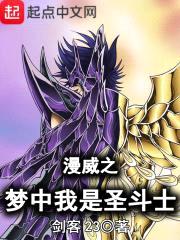 漫威之梦中我是圣斗士封面