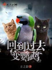回到过去变鹦鹉封面