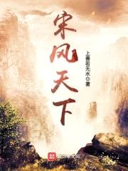 宋风天下封面