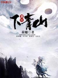 那年下青山封面