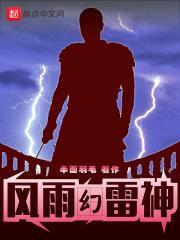 风雨幻雷神封面