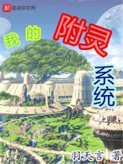 我的附灵系统封面