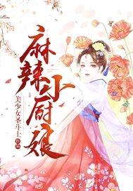 麻辣小厨娘封面