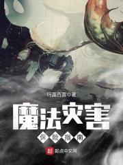 魔法灾害保险指南封面