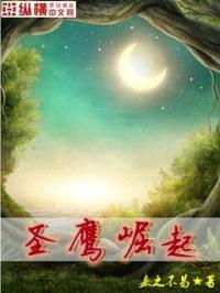 圣鹰崛起封面