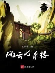 风云七杀楼封面