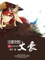 木叶文豪封面