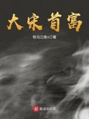 大宋首富封面