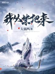 我从禁地来封面