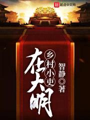 乡村小吏在大明封面