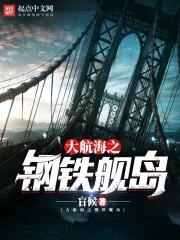 大航海之钢铁舰岛封面