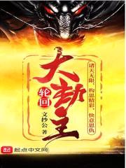 诸世大劫主封面