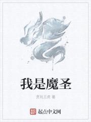 我是魔圣封面