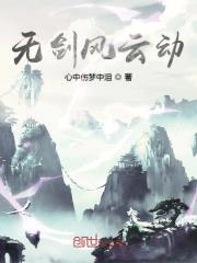 无剑风云动封面