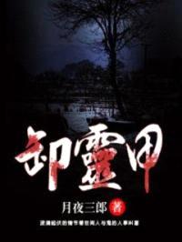 卸灵甲封面