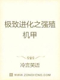 极致进化封面