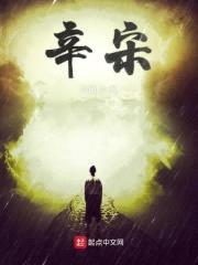辛宋封面