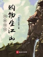 带着微信购物坐江山封面