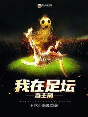 我在足坛当主角封面