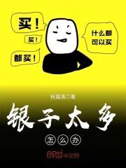 银子太多怎么办封面