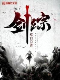 剑踪封面